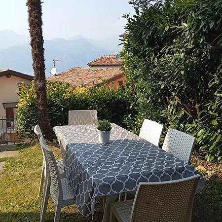 Lory * Malcesine